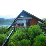 Unique Stays in Sri Lanka: Treehouses and Cabins