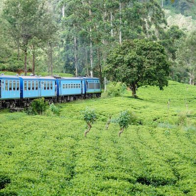 Nuwara Eliya