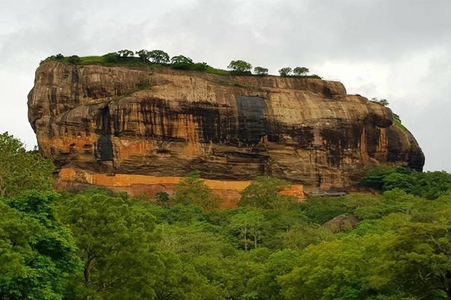 Day Tour to Sigiriya & Dambulla from Kandy