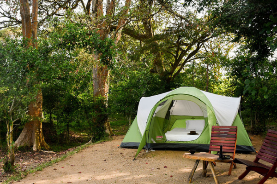 Jungle Camp at Sigiriya