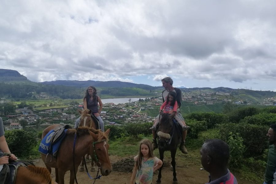 Scenic Horseback Adventures in the Highlands of Nuwara Eliya